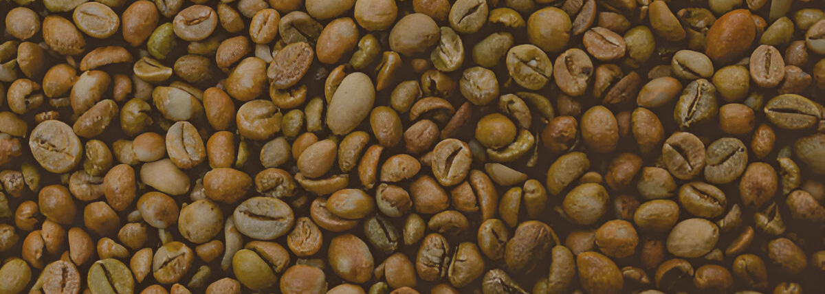 Robusta coffee